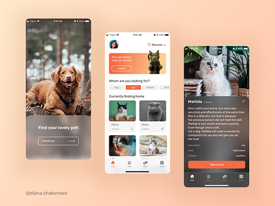 Pets shelter Mobile App animal app app design application design flat design glassmorphism minimal pet ui user flow ux uxui web