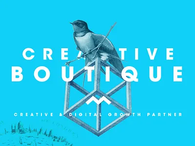 Free yourself bird collage collageart creative design