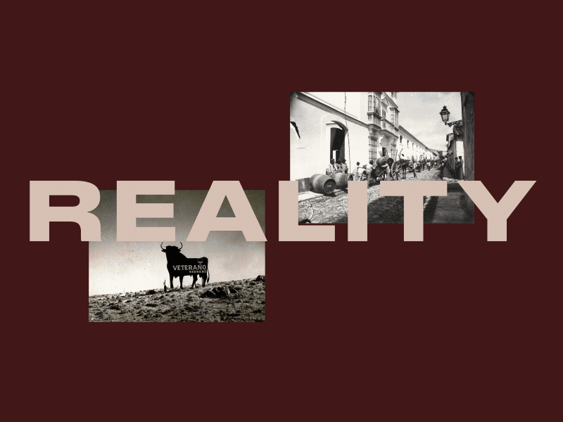 Osborne - Assets animation branding design illustration logo motion type typography vector