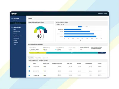 Driver performance app dashboard ui data visualization data viz design product design ui ux web