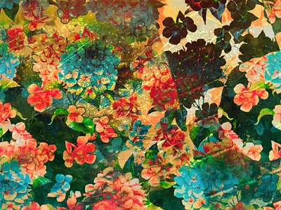 Patterns beauty bright bright colors cameron houseman color colour flowers packaging patterns poster seattle
