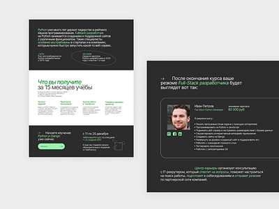 Website for Python Dev online course grid landing online course school typography uidesign uxdesign uxui website