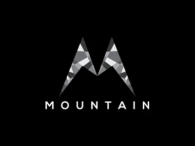 Mountain 🗻 art branding design flat graphic design illustrator logo minimal typography vector
