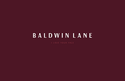 Baldwin Lane branding design logo typography