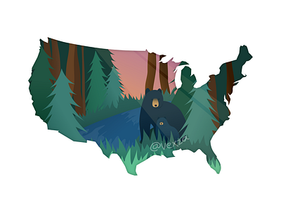 America affinity design affinity designer america animal bear design forest illustration map nature yay