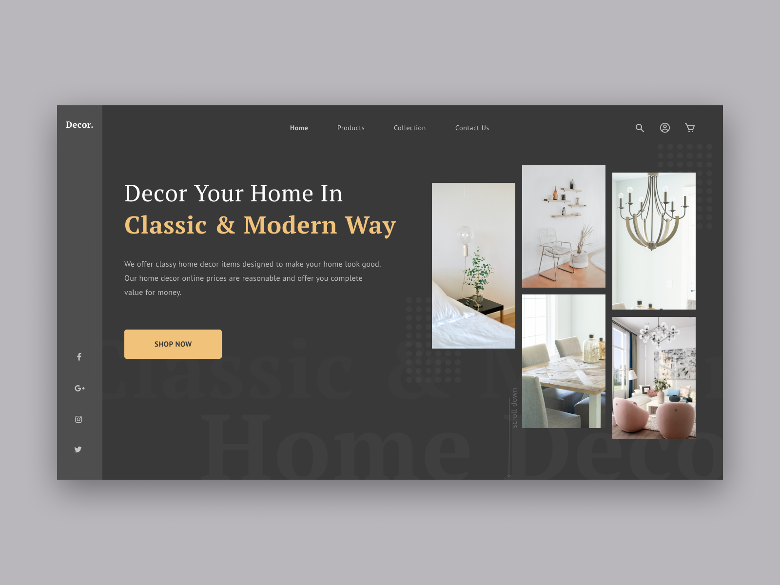 Example of Landing Page for E-Commerce Website