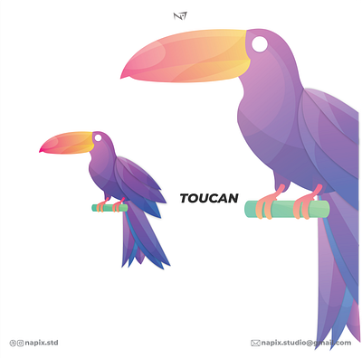 toucan art branding design flat graphic design icon illustration illustrator logo vector