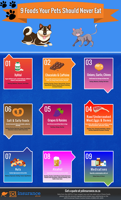 9 Foods Your Pets Should Never Eat Infographic Example branding design illustration infographic
