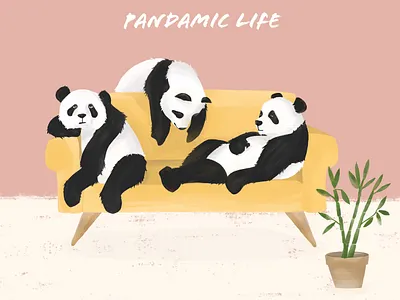 Pandamic Life animals illustrated digital illustration illustration pandas procreate