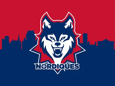 Logo concept Quebec Nordiques art concept hockey illustration logo nhl nordiques quebec