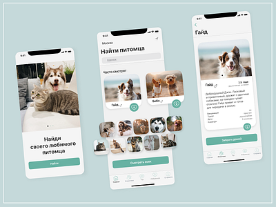 Mobile App - Pets shelter app design mobile app mobile app design mobile design mobile ui pets shelter ui ux