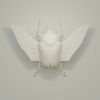 Insect Series - WIP Goliathus Goliatus 3d beetle blender blendercycles bug cgi cycles goliath insect render