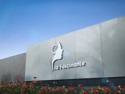 la fascinante art coiffure design fascinante illustration illustrator logo ui ux vector web