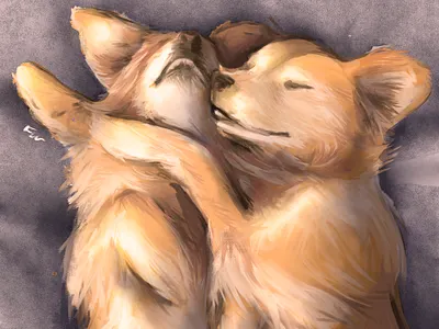 sunday draw huion illustration photoshop