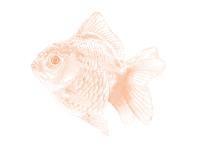 Goldfish Swimming Japanese Inspired Pointillism Art Poster art bold colour design fish fishing flat goldfish illustration illustrator japanese art japanese style orange pointilism pointillism stippled vector