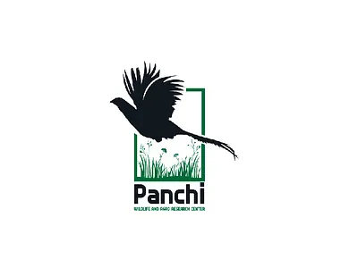 Panchi Wildlife and Agro Research Center brandlogo design graphic design graphic art logo p logo design panchi photoshop