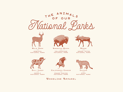 Woodline Apparel - Park Animals T-Shirt animals animals illustrated apparel badge design distressed distressedunrest goodtype hand drawn illustration national parks nature outdoors textured typography vintage vintage design