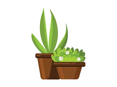 Plant artwork colorful colors design design art designs dribble dribbleartist graphic design illustration