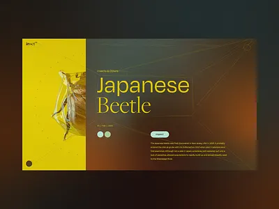 un_finished_002 3d beetle freeformgradient gradient inspiration motivation psd quickdesign unfinished yellow