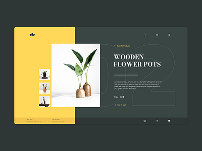 Product Page _ Chloris design designer page design plant plants product ui ux ux design webdesign xd design