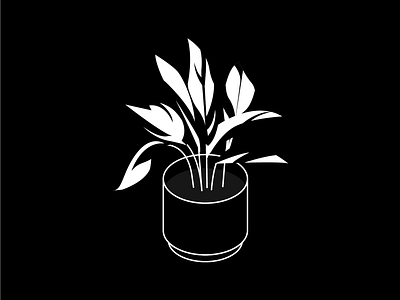 White Fusion Calathea calathea indoor plant isometric leafy plant plant illustration