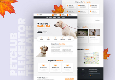 Petclub Elementor Template Design elementor elementor pro psd to wordpress shuvosarker typography web design webdesign webdevelopment wordpress wordpress design