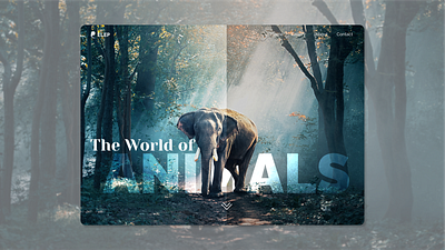 Animals animals app design elephant elephant logo figma forest graphic design illustration logo minimal nature typogaphy typography ux web website website concept website design