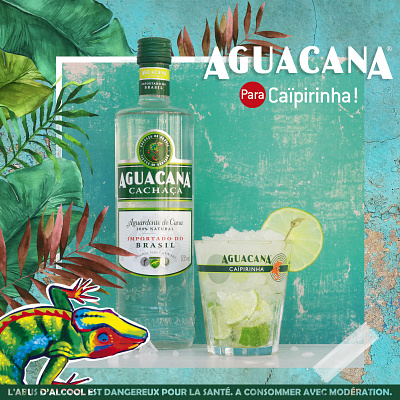 Aguacana Cachaça brand content creation illustration photography photoshop