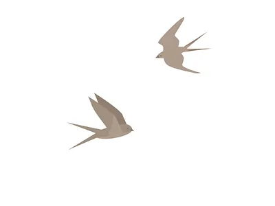 11 animal animal illustration bird bird illustration children children book illustration childrens illustration illustration illustration art illustrator vector art vector illustration vectorart