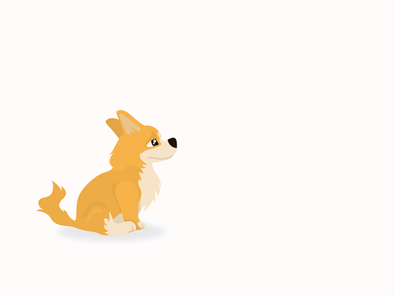 Dogs with bb8 animation 2d adobe illustrator after effect animation art bb8 corgi design dog flat giff motion robots starwars vector