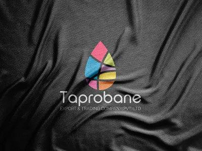 Taprobane logo design 2021 logo 2021 trend abstract circle elegant flat design geometric graphic design graphics logo designer logo mark logos logotype minimalism minimalist modern paper symbol vector art vector illustration