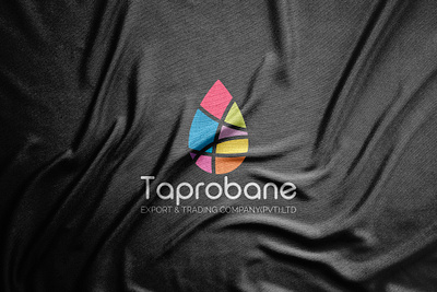 Taprobane logo design 2021 logo 2021 trend abstract circle elegant flat design geometric graphic design graphics logo designer logo mark logos logotype minimalism minimalist modern paper symbol vector art vector illustration