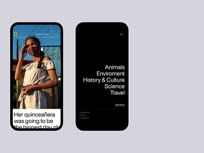 NatGeo Layout animation app concept design interface mobile app mobile ui motion ui ux web