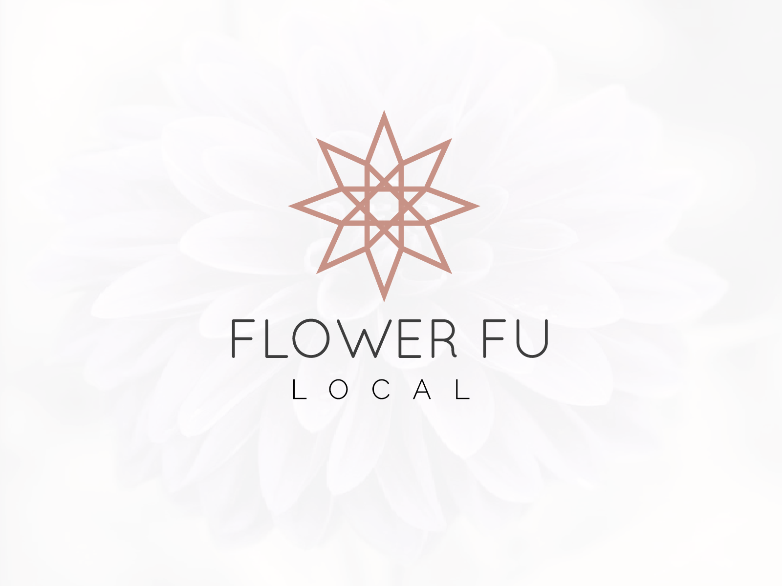fashion hub branding cool logo fashion fashion illustration graphic design icon illustration logobranding logodesign typography unique vector