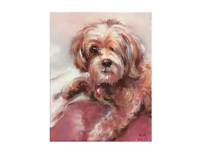 Fufu Painting illustration painting