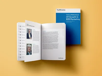 B2B Institute Book Design book book cover book layout ebook