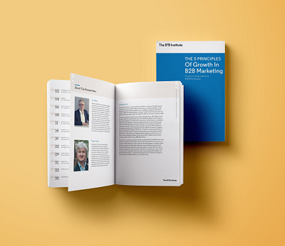 B2B Institute Book Design book book cover book layout ebook