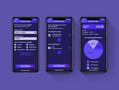 Budget Calculator - Daily UI Challenge 004 app design ui ux