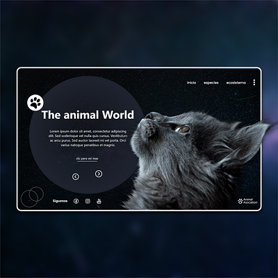 Animals website concept animals cat cats nature website website concept website design