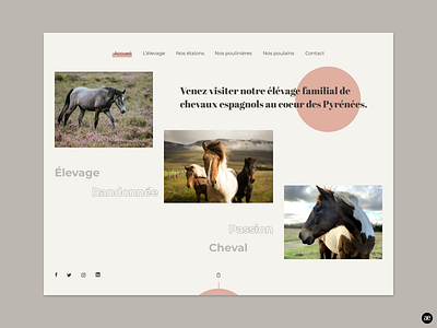 Horse breeding | Homepage design figma graphic design homepage homepage design horse breeding horses minimal minimalist mockup modern nature photography stud farm ui web web design webdesign website website design