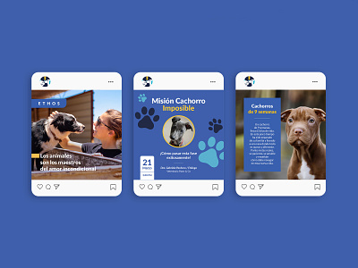 Social Media Ethos animal behavior brand identity branding cats costa rica dogs identity logo logotype mark pets veterinary