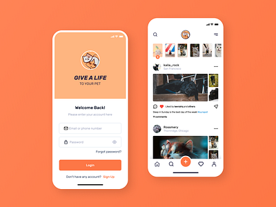 Pet Social App Concept app cards feed figma ios minimal mobile app pet pet app pet care pet shop social social app social media story ui ui ux ui design ui user interface ux