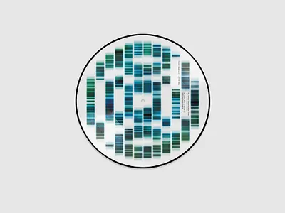 Plaid – STEM SELL (remixes) ltd edition 12" picture disc album art album cover charity design graphic design logo music package design typography vector vinyl