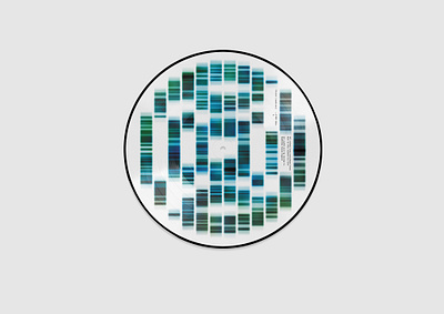 Plaid – STEM SELL (remixes) ltd edition 12" picture disc album art album cover charity design graphic design logo music package design typography vector vinyl