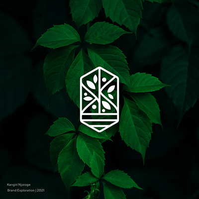 IBR Mark branding identity illustration leaves logo logomark