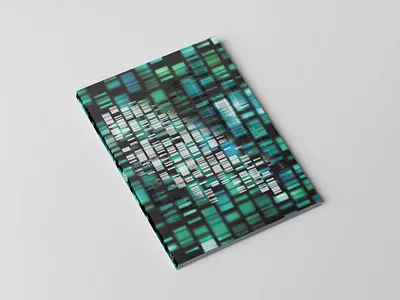 Plaid – STEM SELL (remixes) ltd edition 2CD cd artwork cd packaging charity compact disc design graphic design music package design vector