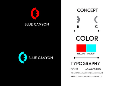 B OR C LOGO DESIGN branding design flat logo logo design logo design branding logo designer logo mark logos logotype typography vector