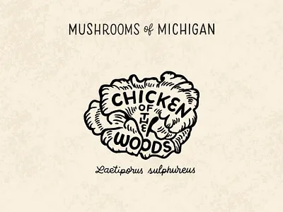 Chicken of the Woods chicken chicken of the woods hand lettering illustration lettering michigan mushroom mushrooms mushrooms of michigan screenprint series shrooms woods