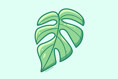 Rhaphidophora Tetrasperma caseyillustrates house plant house plants illustration leaf monstera orlando rhaphidophora tetrasperma vector