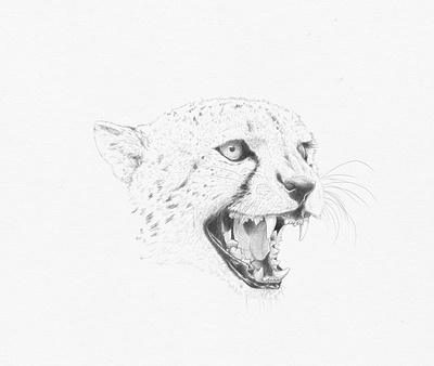 Fierce art back and white digitalart illustration photoshop art wacom cintiq